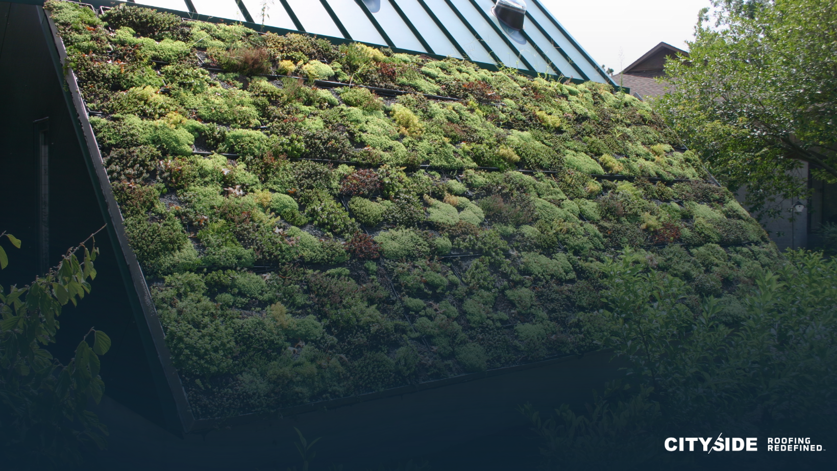 Eco-friendly green roof covered with plants and vegetation for sustainable building design.