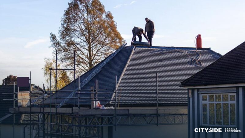 Two men standing on a house roof beside a ladder