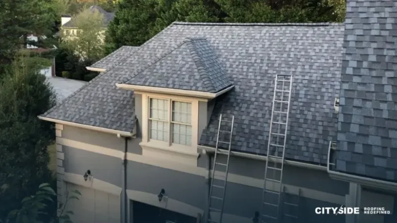 A house roof with a ladder leaning against it, suggesting maintenance or repair work in progress