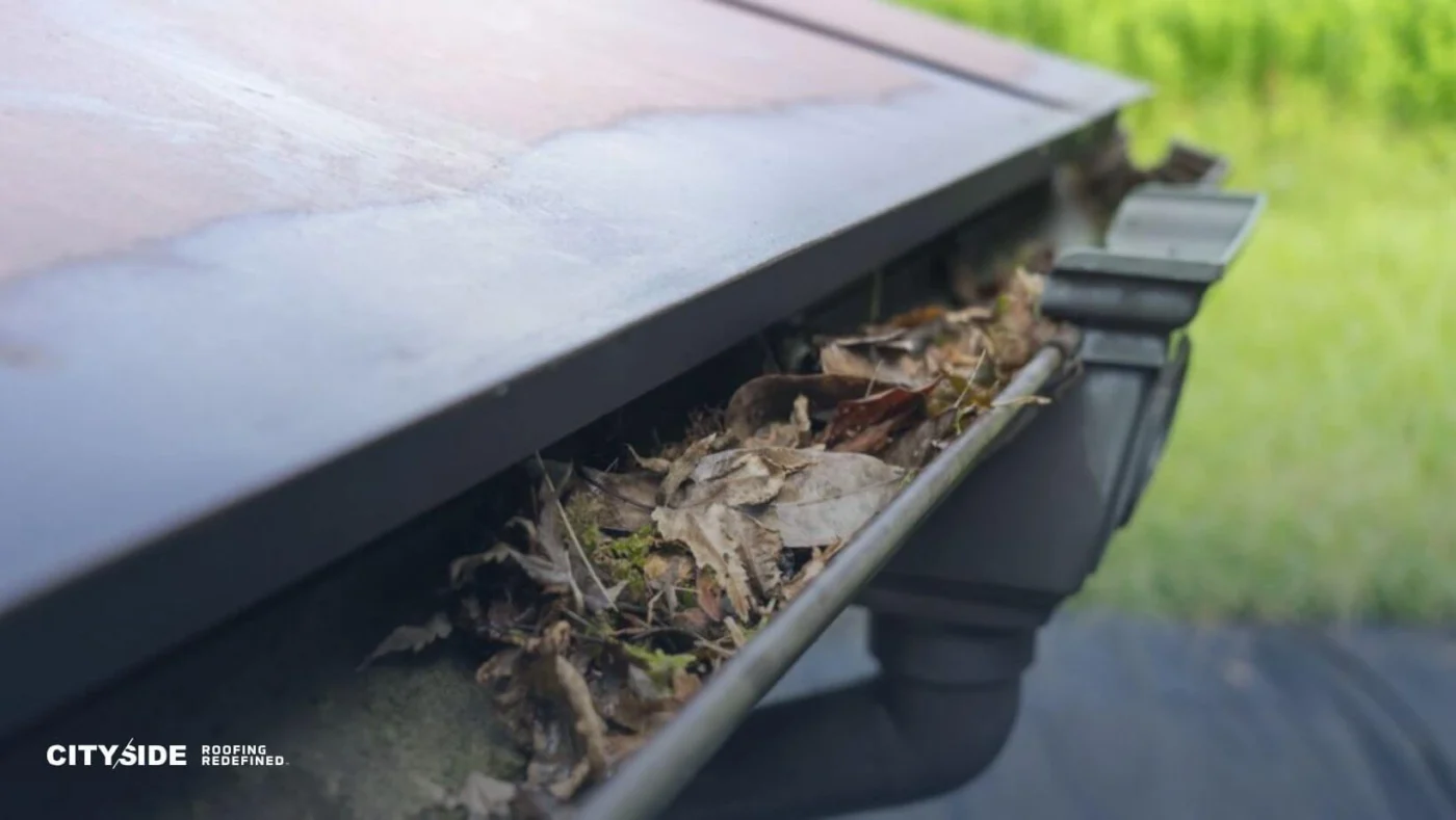 Close-up of a gutter filled with fallen leaves, highlighting the accumulation and potential blockage.