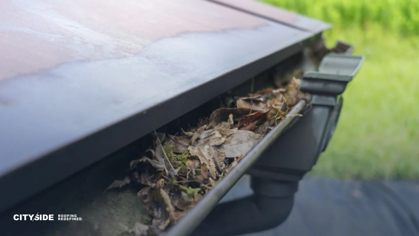 A close-up of a house gutter filled with dry leaves and debris, suggesting neglect or the need for cleaning. The scene conveys a sense of maintenance.