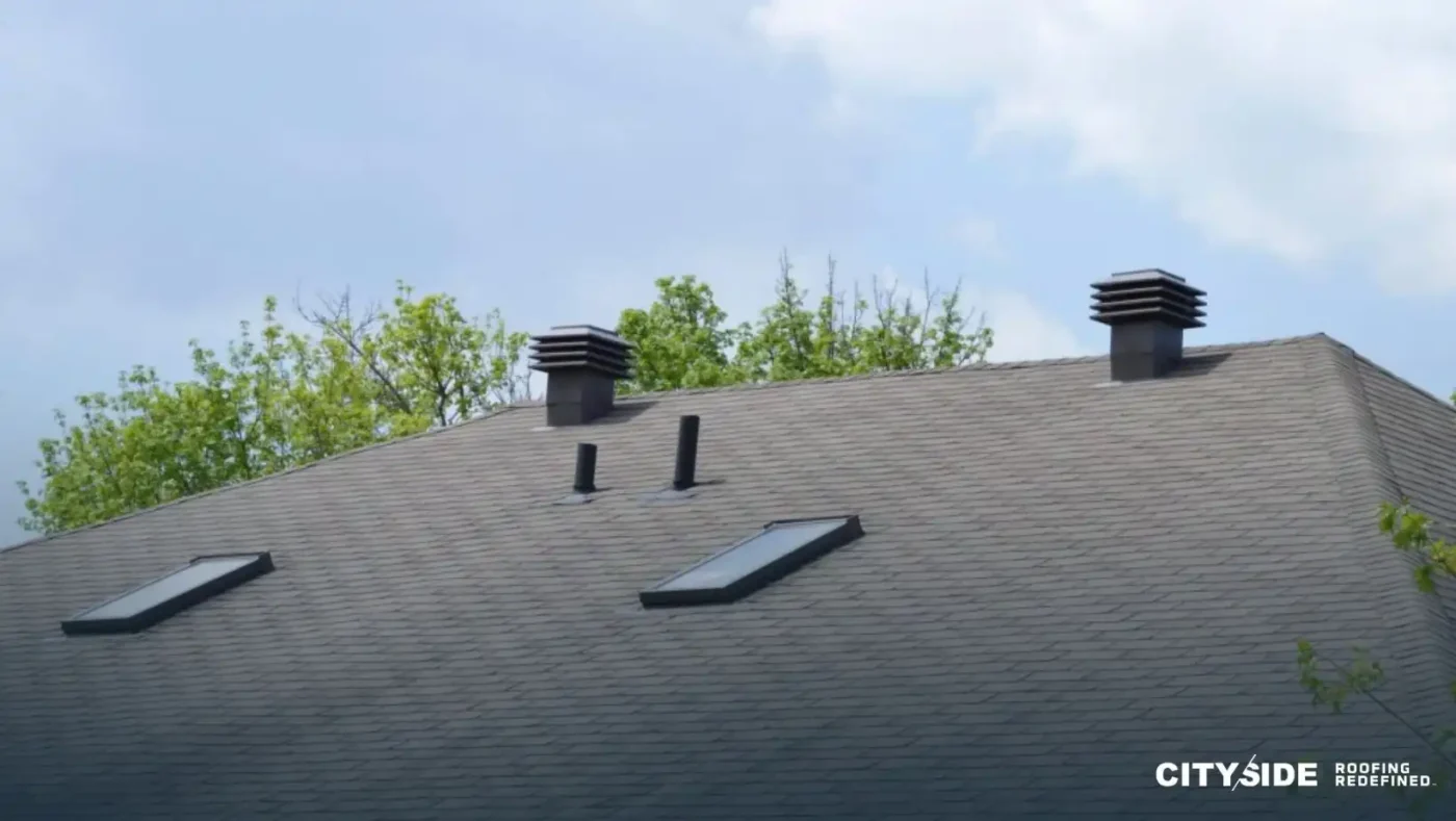 A house roof displaying several chimneys